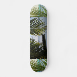 Tropisches Paradies Wasser Strand Sand Surfen Schi Skateboard