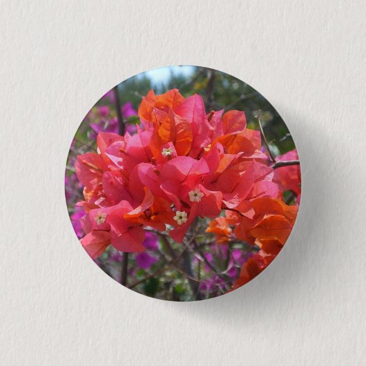 Tropisches Pink Bougainvillea Insel Floral Button (Vorderseite)