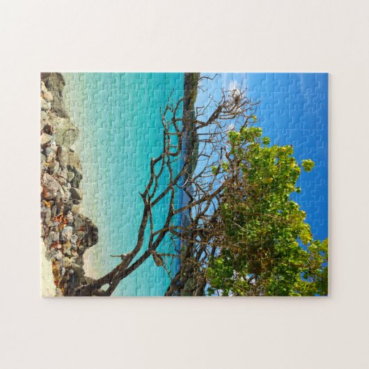 Tropisches Puzzlespiel Zimt-Bucht-Johannes USVI Puzzle (Horizontal)