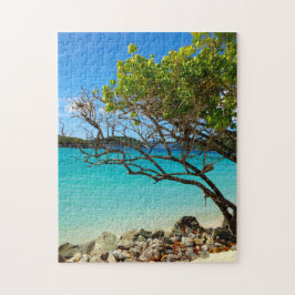 Tropisches Puzzlespiel Zimt-Bucht-Johannes USVI Puzzle
