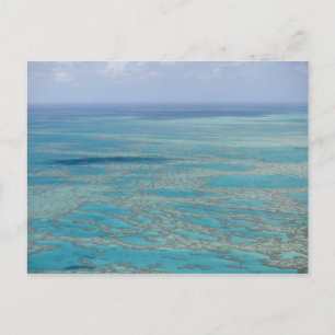 Tropisches Riff, Great Barrier Reef, Queensland, Postkarte