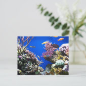 Tropisches Riff Postkarte (Stehend Vorderseite)