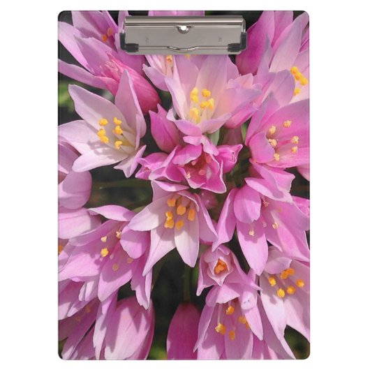 Tropisches Rosa und gelbe Blumen Klemmbrett (Vorderseite)