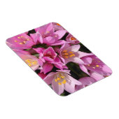 Tropisches Rosa und gelbe Blumen Magnet (Rechte Seite)