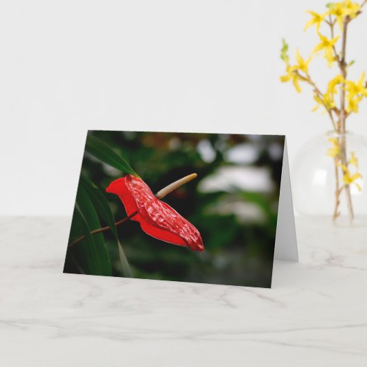 Tropisches rotes Anthurium, jedes Mal, wenn die Le Karte (Gelbe Blume)