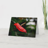Tropisches rotes Anthurium, jedes Mal, wenn die Le Karte (Vorderseite)
