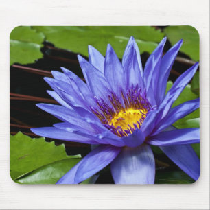 Tropisches Seerosen-Mausepad Mousepad