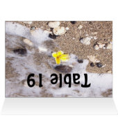 Tropisches Strand-Gedeck-Namenskarten (Innenansicht Horizontal (Oben))