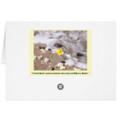 Tropisches Strand-Gedeck-Namenskarten (Rückseite Horizontal)