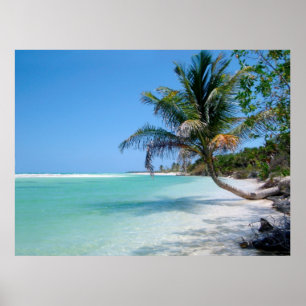 tropisches Strandhimmelsplakat VON 8,60 Poster