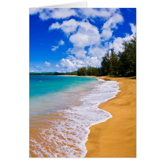 Tropisches Strandparadies, Hawaii (Vorne)