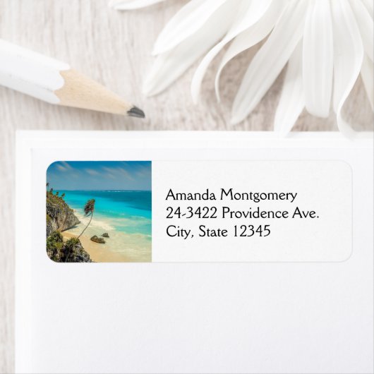 Tropisches Strandparadies mit Palmen (Insitu)