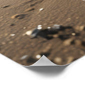 Tropisches Strandparadies Poster (Ecke)