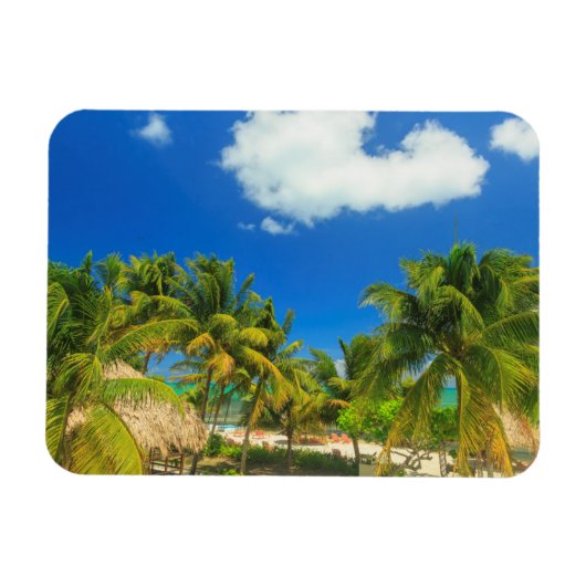 Tropisches Strandresort, Belize Magnet (Horizontal)