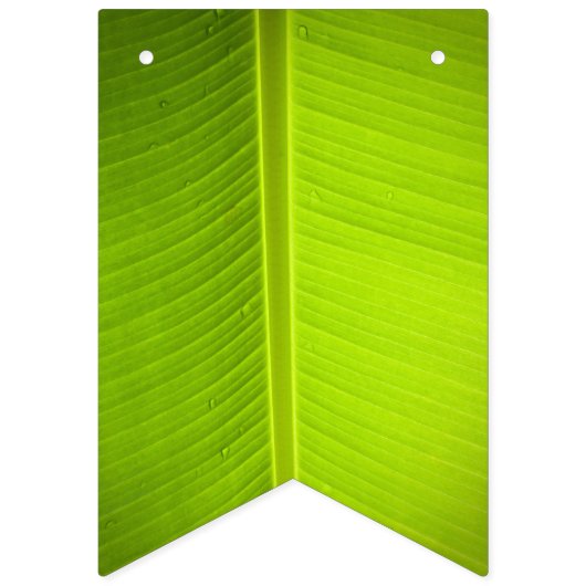 Tropisches Thema. Banana-Blätter. Wimpelkette (Zweite Fahne)