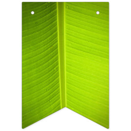 Tropisches Thema. Banana-Blätter. Wimpelkette