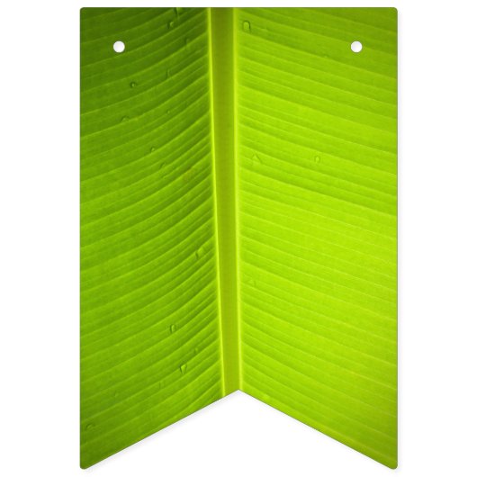 Tropisches Thema. Banana-Blätter. Wimpelkette (Erste Fahne)