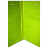 Tropisches Thema. Banana-Blätter. Wimpelkette (Dritte Fahne)