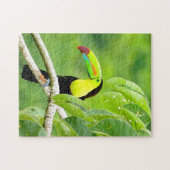 Tropisches Toucan-Puzzle Puzzle (Horizontal)