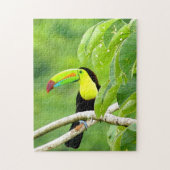 Tropisches Toucan-Puzzle Puzzle (Vertikal)
