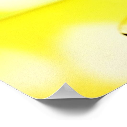 Tropisches Trinkposter Poster (Ecke)