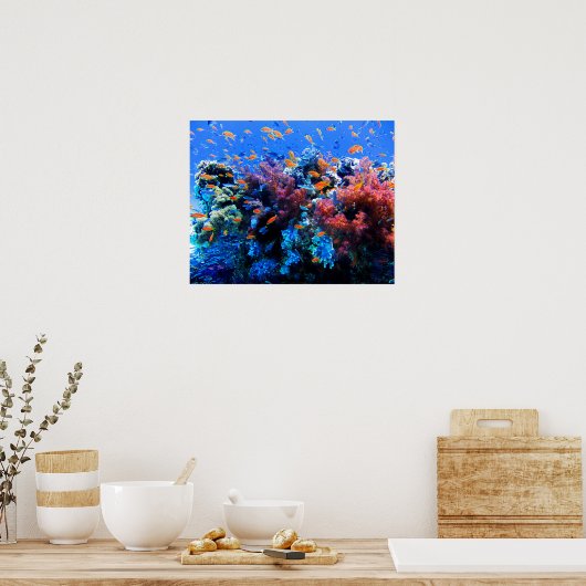Tropisches Unterwasser-Ökosystem Poster (Küche)