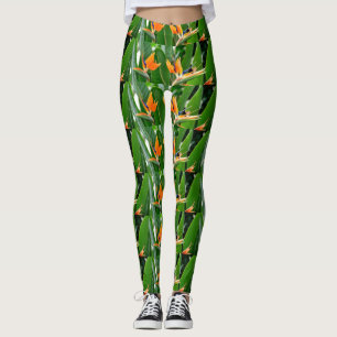 TROPISCHES VÖGEL VON PARADISCH LEGGINGS