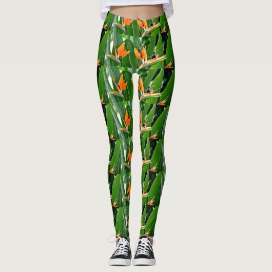 TROPISCHES VÖGEL VON PARADISCH LEGGINGS (Vorderseite)