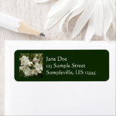 Tropisches Weißes Begonia Floral (Insitu)