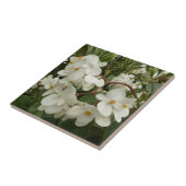 Tropisches Weißes Begonia Floral Fliese (Seite)