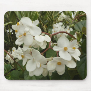 Tropisches Weißes Begonia Floral Mousepad