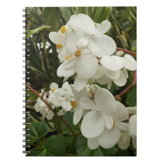 Tropisches Weißes Begonia Floral Notizblock (Vorderseite)