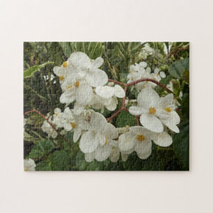 Tropisches Weißes Begonia Floral Puzzle