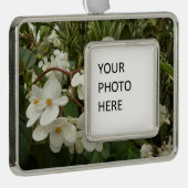 Tropisches Weißes Begonia Floral Rahmen-Ornament Silber (Rechts)