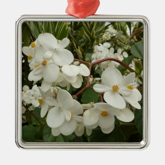 Tropisches Weißes Begonia Floral Silbernes Ornament (Vorne)