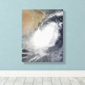 Tropisches Wirbeltier im Arabischen Meer Leinwanddruck (Insitu (Holzboden))