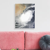 Tropisches Wirbeltier im Arabischen Meer Leinwanddruck (Insitu (Wohnzimmer))