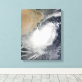 Tropisches Wirbeltier im Arabischen Meer Leinwanddruck (Insitu (Holzboden))