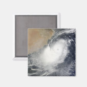 Tropisches Wirbeltier im Arabischen Meer Magnet (Vorderseite/Rückseite)