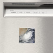 Tropisches Wirbeltier im Arabischen Meer Magnet (In Situ (Geschirrspüler))