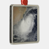 Tropisches Wirbeltier im Arabischen Meer Ornament Aus Metall (Rechts)