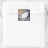 Tropisches Wirbeltier im Arabischen Meer Quadratischer Aufkleber (Tasche)