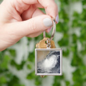 Tropisches Wirbeltier im Arabischen Meer Schlüsselanhänger (Hand)