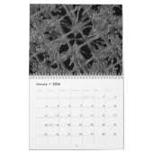 "Tropping Petals" Kalender 2026 (Jan 2026)