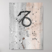 TROS Capricorn Poster (Vorne)