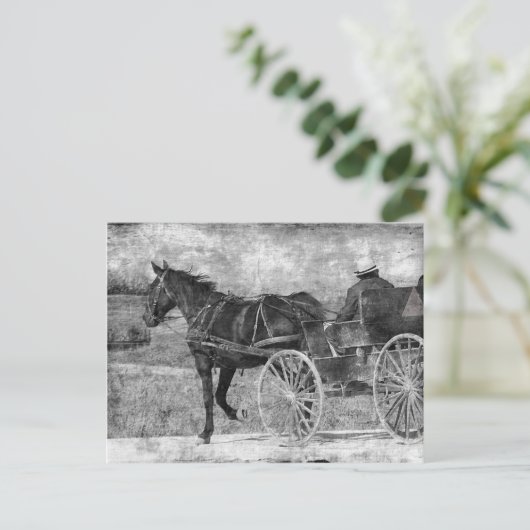 Trot Amish Pferd in Schwarz und Weiß Postkarte (Stehend Vorderseite)