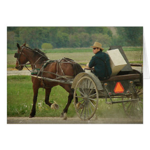 Trot auf Zuhause
