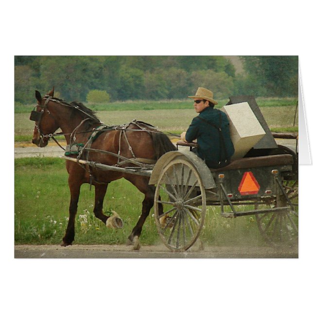 Trot auf Zuhause (Vorderseite (Horizontal))