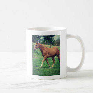 Trot, Schottland Kaffeetasse