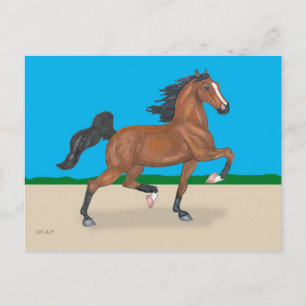 Trotted American Saddlebred Postcard Postkarte